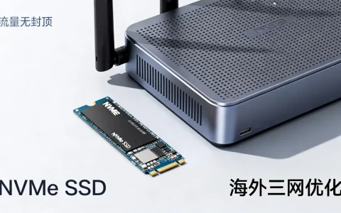 海外三网优化哪家好？流量无封顶的NVMe SSD值得买吗