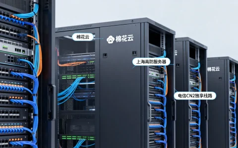 棉花云上海高防服务器怎么样？电信CN2独享线路哪个好？