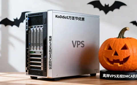 KoDDoS万圣节有优惠吗？离岸VPS无视DMCA抗投诉吗？