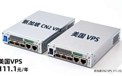 新加坡CN2 VPS 111.1元/季，美国VPS 111.1元/年，性价比如何？评测哪家强？
