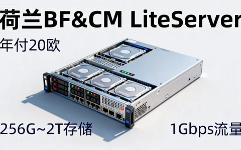 荷兰BF&CM LiteServer年付20欧VPS，256G~2T存储，1Gbps流量，真的值得选择吗？