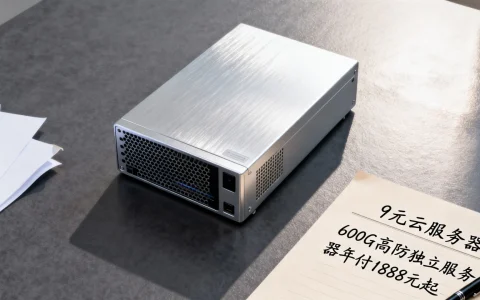 9元云服务器能用吗？600G高防独立服务器年付1888元起