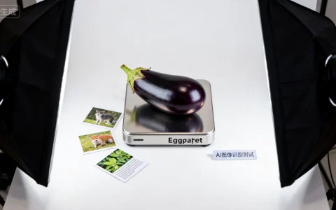 AI测试工具哪个好？Eggplant图像识别测评