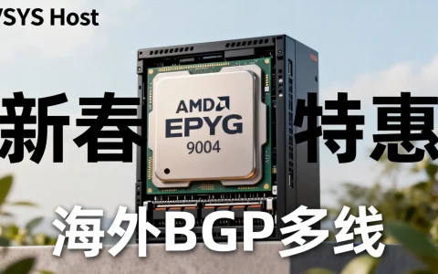 新春特惠海外BGP多线怎么样？VSYS.host AMD EPYC 9004值得买吗