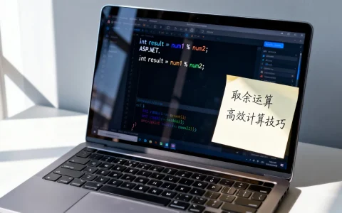 如何实现ASP.NET取余运算？高效计算技巧分享