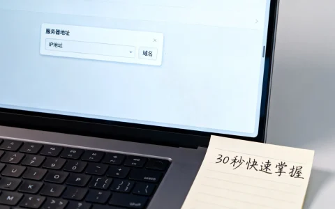 服务器地址填写方法详解，是输入IP还是域名？30秒快速掌握！
