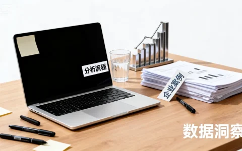 国内大数据分析案例｜企业大数据分析怎么做？实战案例详解