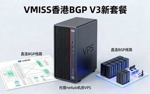 VMISS香港BGP V3新套餐如何？直连BGP线路/托管netlab机房VPS评测优缺点？