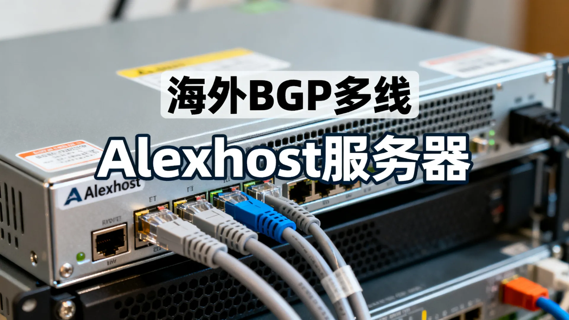 2026年 海外BGP多线 Alexhost - Intel Xeon,流量无封顶,低至 2026年 海外BGP多线 Alexhost