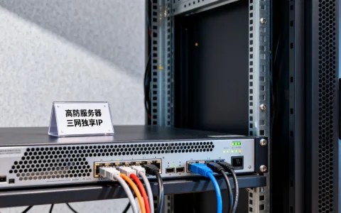 数掘科技扬州高防服务器怎么样？江苏三网独享高防IP多少钱