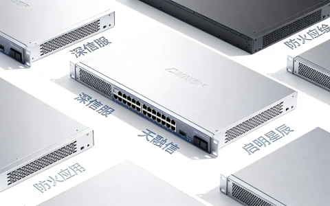 国内应用防火墙哪家好|十大品牌排名推荐