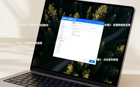ASPNET网站发布工具怎么用？aspnet发布工具操作指南