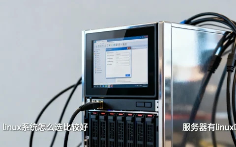 服务器有linux吗，服务器linux系统怎么选比较好