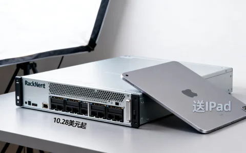 RackNerd美国服务器10.28美元起，送iPad值得买吗？