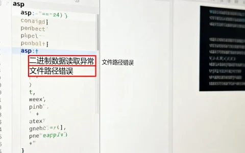 asp二进制显示图片时，为何有时图片无法正常显示？如何解决？