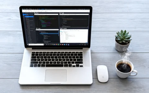 Python初学者如何选择最佳集成开发环境？ | 热门Python IDE全面评测