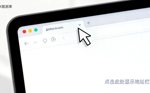 电脑浏览器中找不到服务器地址栏？揭秘隐藏技巧，快速定位！？