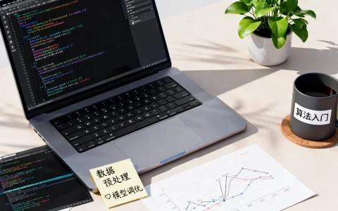 AI算法训练怎么做，新手如何快速入门AI算法训练？