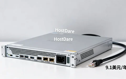 HostDare美国VPS怎么样？9.1美元/年值得买吗？