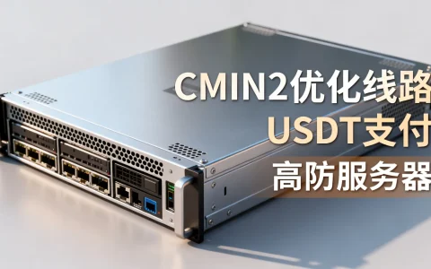 CMIN2优化线路服务器怎么样？USDT支付的高防服务器推荐