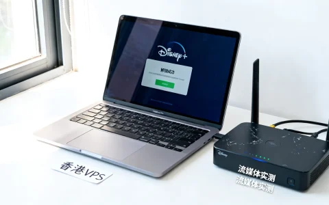 香港VPS如何解锁Disney+？ | 流媒体VPS实测测评
