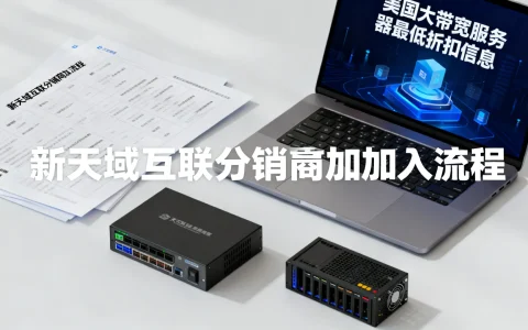 新天域互联分销商怎么加入？美国大带宽服务器最低折扣多少？