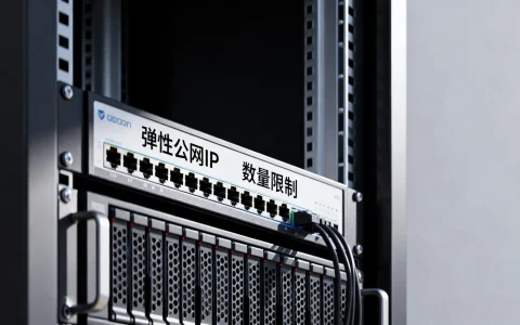 服务器有几个弹性公网IP，弹性公网IP数量限制是多少？