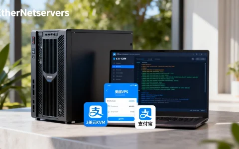EtherNetservers美国VPS怎么样？3美元KVM支持支付宝吗？