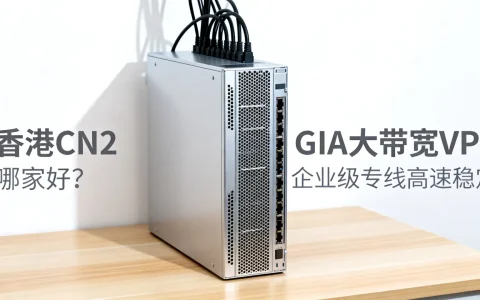 香港CN2 GIA大带宽VPS哪家好？企业级专线高速稳定