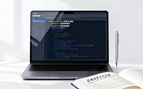 ASP.NET如何接收前端值？详解参数获取方法