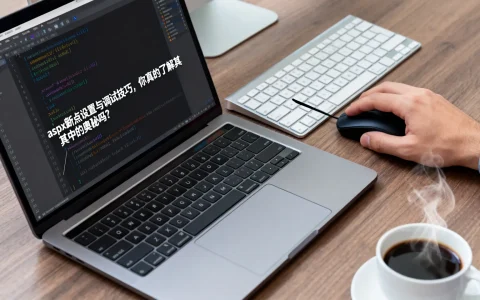 aspx断点设置与调试技巧，你真的了解其中的奥秘吗？