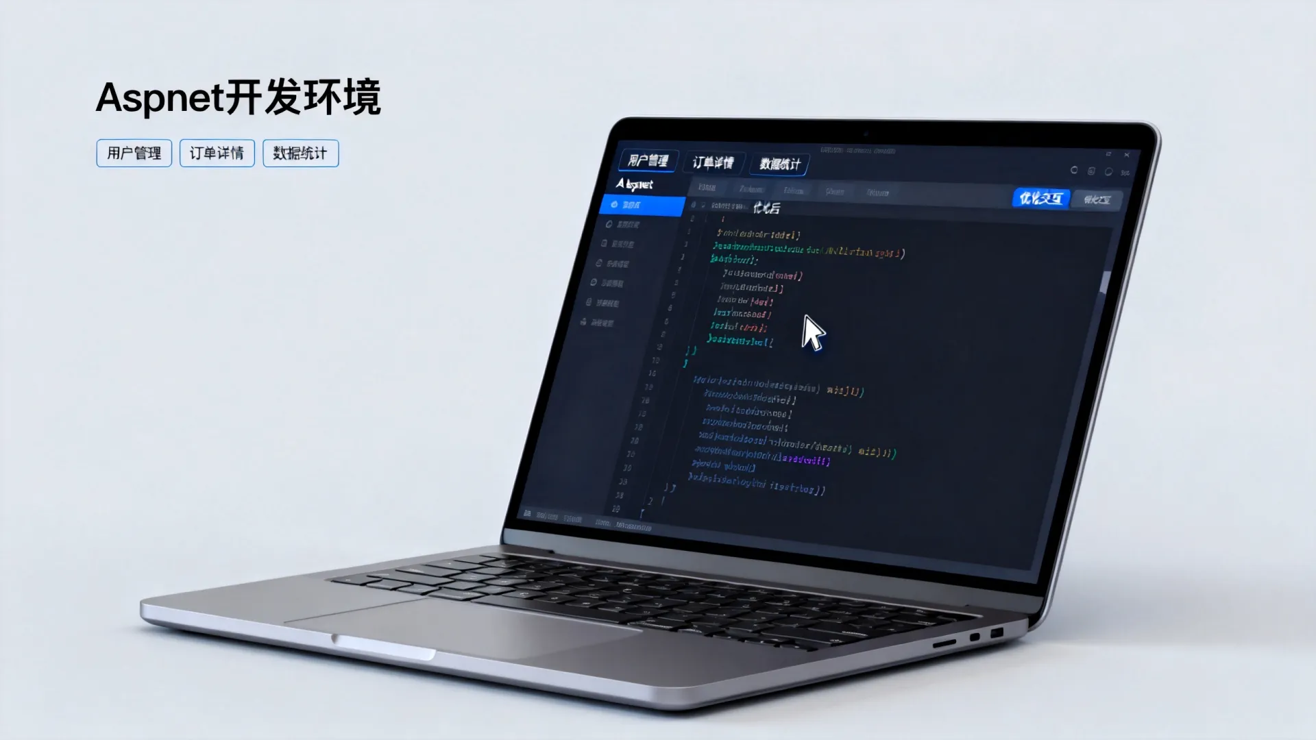 aspnet页签 aspnet页签