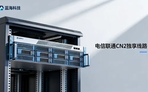 温州高防服务器哪家好？蓝海科技电信联通CN2独享线路怎么样？