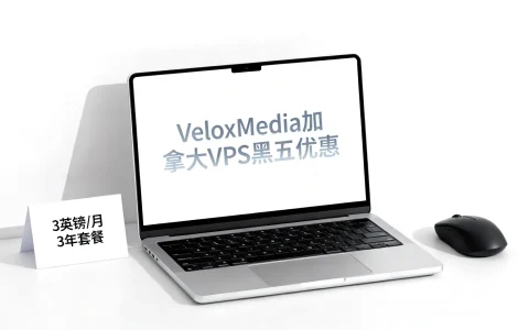 VeloxMedia加拿大VPS黑五优惠，3英镑值得买吗？