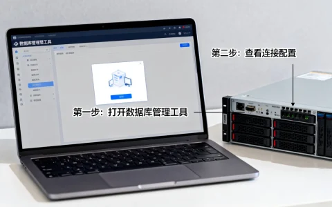 如何查找本地服务器数据库地址？查看方法详细步骤分享