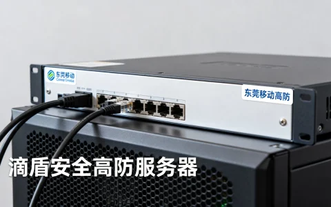 东莞移动高防独享IP哪家好？滴盾安全高防服务器价格多少钱？