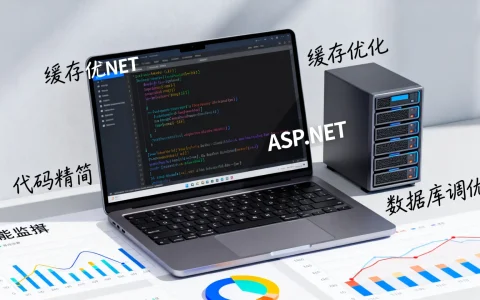 ASP.NET网站性能如何优化？性能优化技巧与提速方法详解