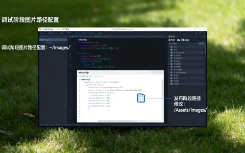 如何解决ASP.NET程序调试与发布阶段图片路径不一致的问题？