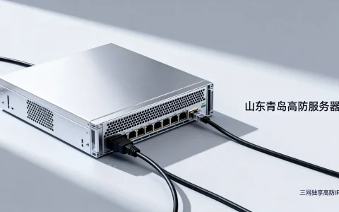 山东青岛高防服务器哪家好？三网独享高防IP多少钱？
