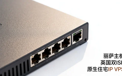 丽萨主机英国双ISP原生住宅IP VPS，性能如何？性价比高吗？