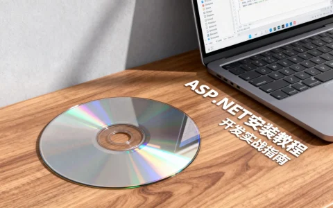 ASP.NET光盘怎么用？安装教程与开发实战指南