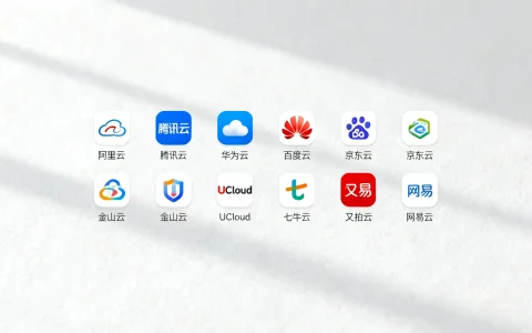国内十大云服务器有哪些，哪个牌子性价比高？