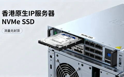 香港原生IP服务器怎么样，中国香港原生IP NVMe SSD流量无封顶仅需多少钱