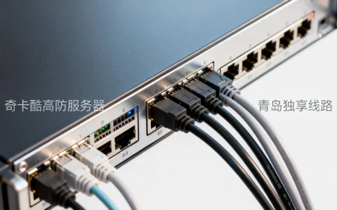 江苏奇卡酷高防服务器怎么样？山东青岛独享线路哪家好？