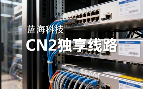 杭州高防服务器哪家好？蓝海科技CN2独享线路怎么样？
