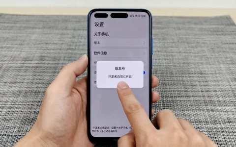 华为Mate开发者选项在哪里？怎么开启隐藏功能？