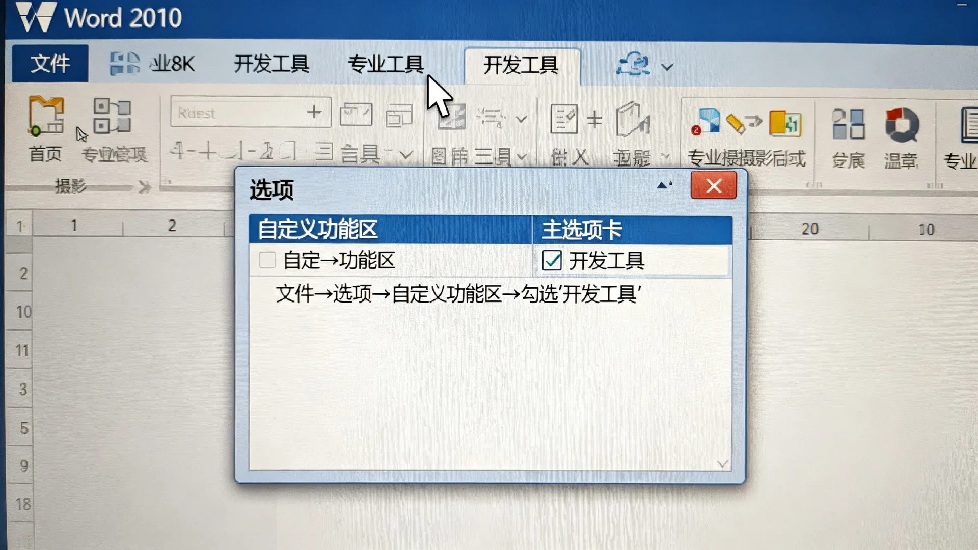 word 2010 开发工具 word 2010 开发工具