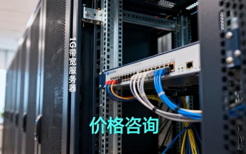 服务器有1g带宽吗，1g带宽服务器价格多少钱
