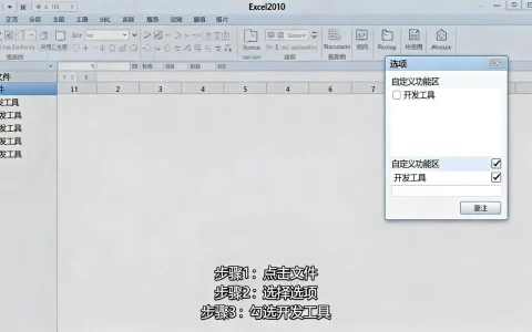 Excel2010开发工具在哪里，如何启用开发工具选项卡