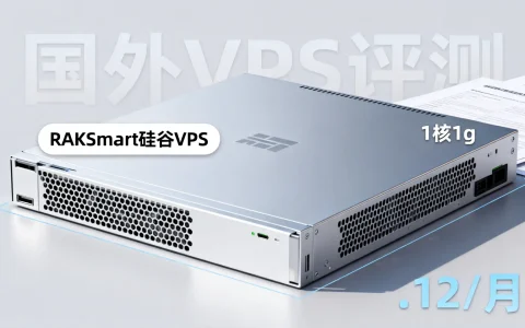 RAKsmart硅谷VPS1核1g仅$6.12/月，性价比高吗？国外VPS评测哪家强？